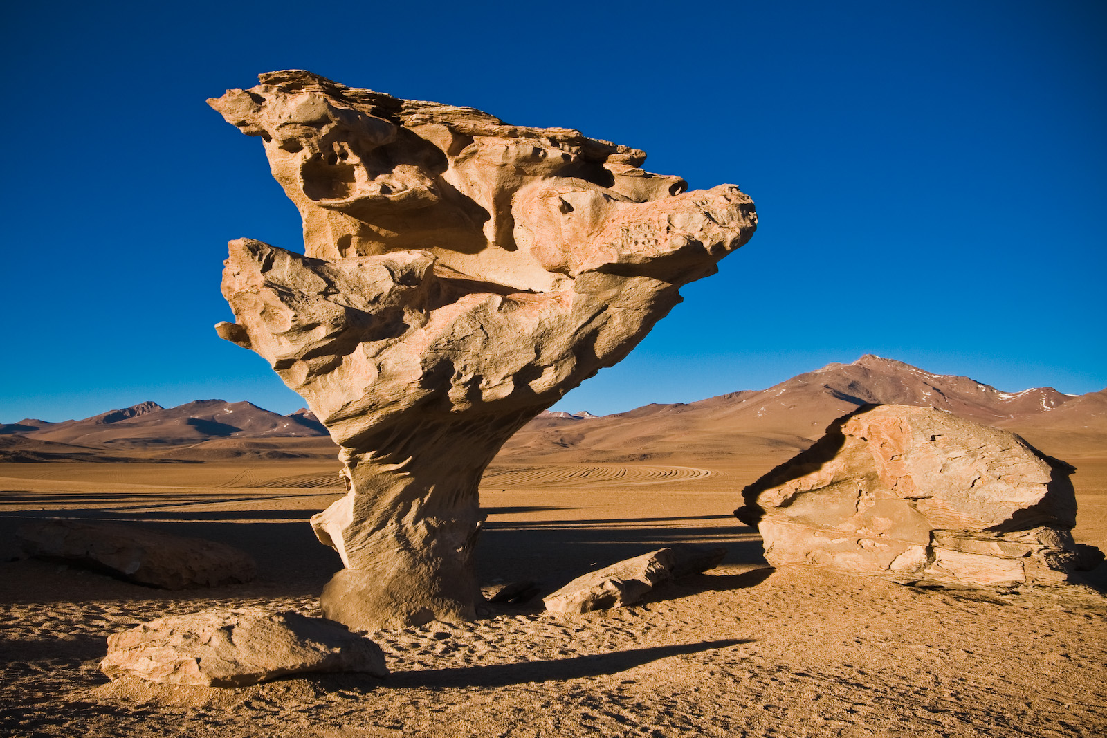 Arbol de Piedra (Stone Tree)